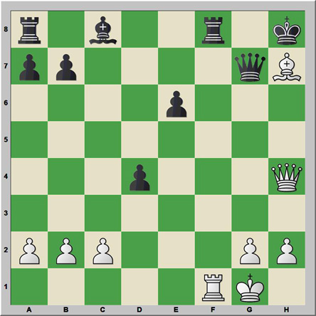 Mate 152: Welling – Pardeen