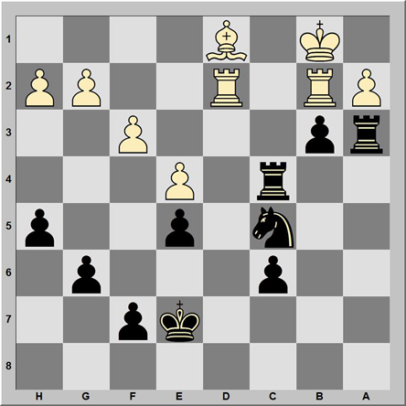 Posición 202: Solodovnichenko - Damljanovic